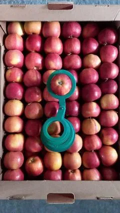 яблоко оптом от производителя в Новом Осколе 4