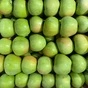 яблоки оптом 1 и 2 сорт от 20р в Белгороде 3