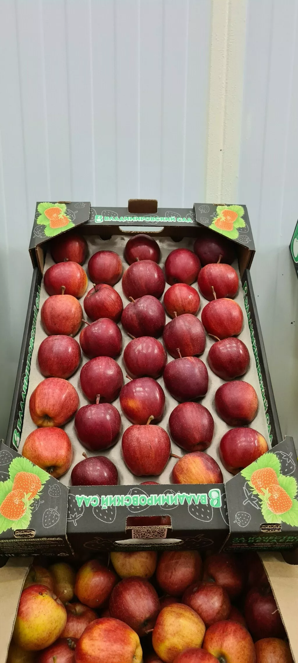яблоки в Белгороде и Белгородской области 5